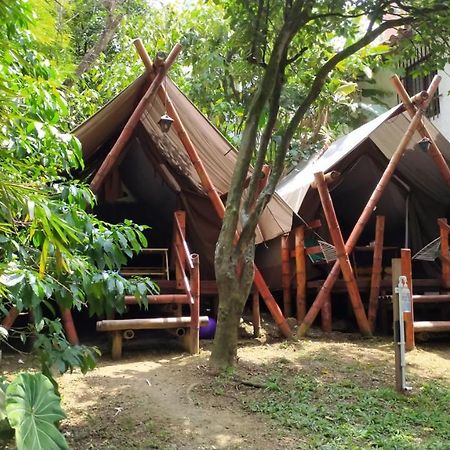 Bambu Glamping Ecolodge Medellín Zewnętrze zdjęcie