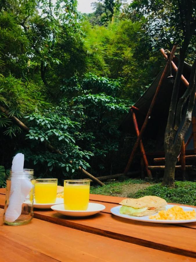 Bambu Glamping Ecolodge Medellín Zewnętrze zdjęcie