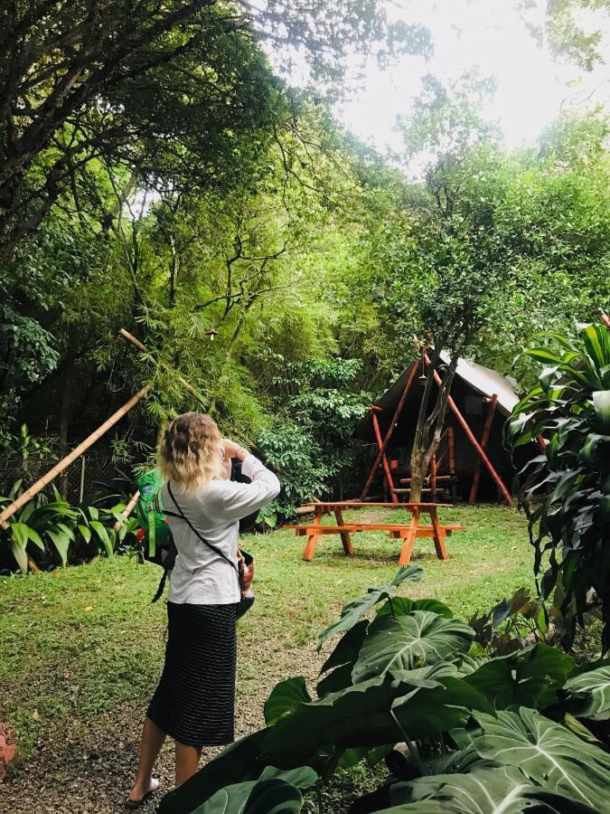 Bambu Glamping Ecolodge Medellín Zewnętrze zdjęcie